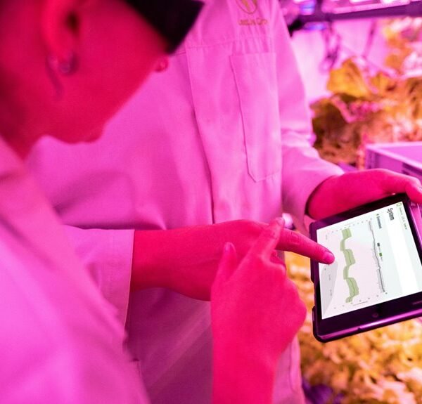 maximize growth with tools